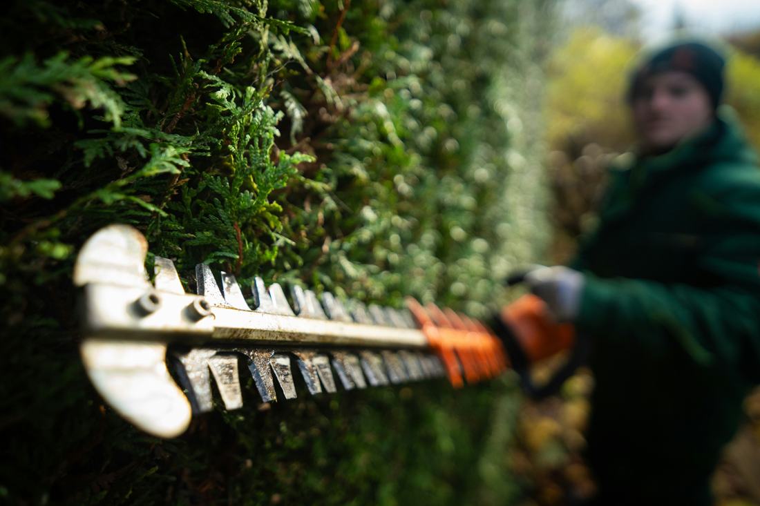 Trimming a hedge