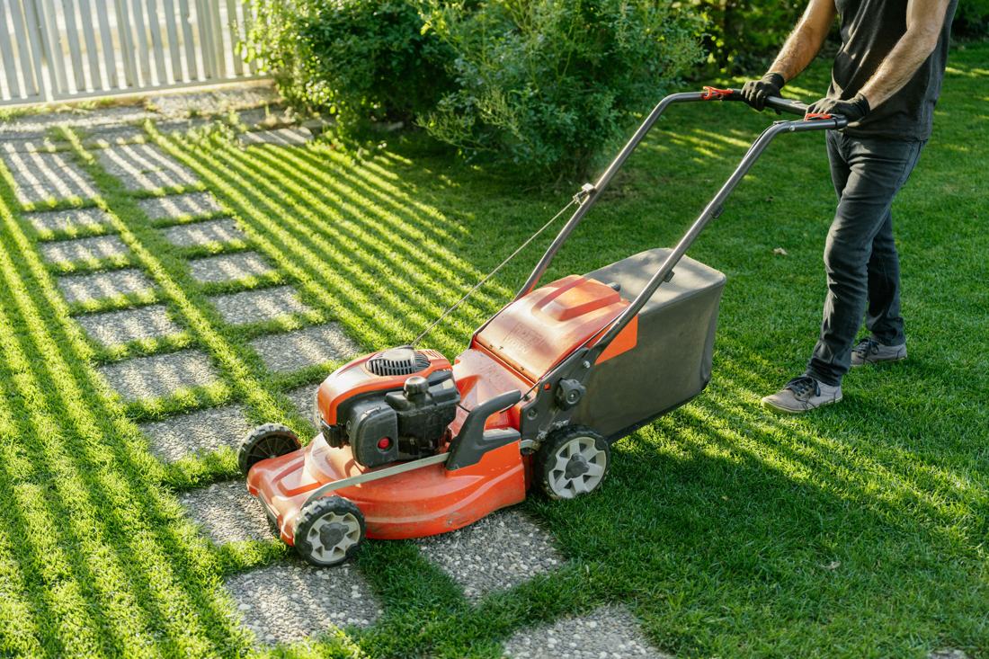 Push mower on a striped lawn
