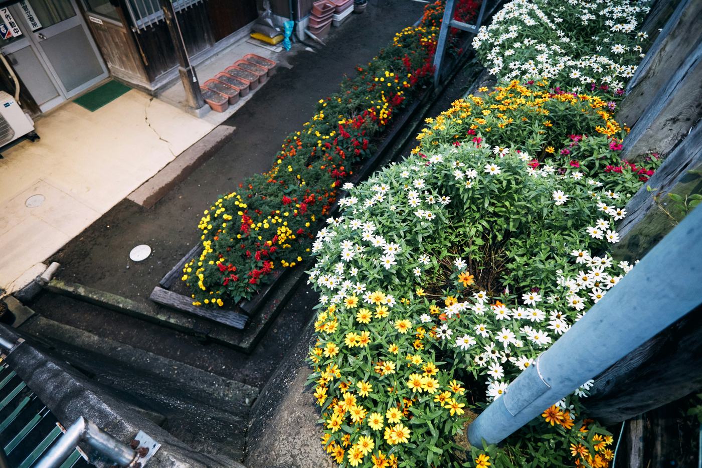 Bright, colorful flower beds