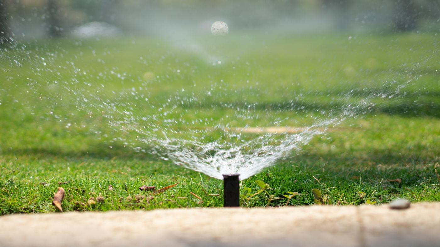Pop-up sprinkler watering a lawn